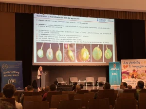 Ana María Pérez Sierra, Investigadora en el Centro de Protección Vegetal y Biotecnología en el Instituto Valenciano de Investigaciones Agrarias (IVIA).