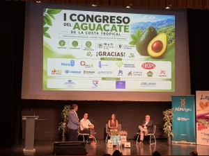 Mesa debate 1º congreso aguacate