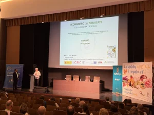 Rafael León Morcillo, Científico Titular en Instituto de Hortofruticultura Subtropical y Mediterránea La Mayora.